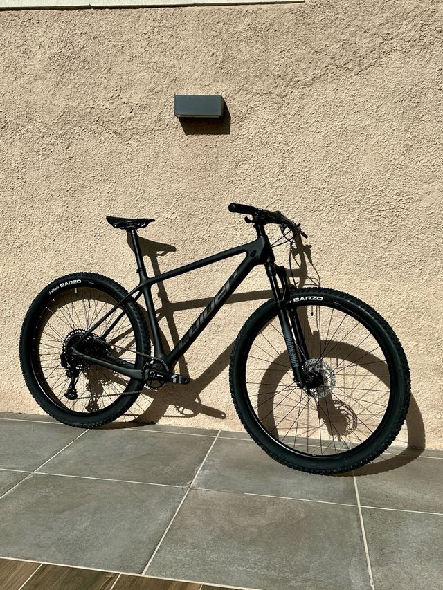 Coluer Poison Carbon talla L 2025 NUEVA