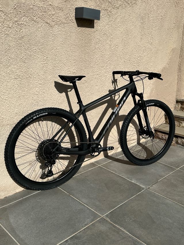 Coluer Poison Carbon talla L 2025 NUEVA