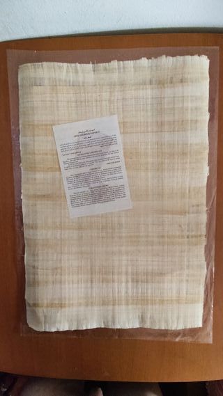 Papiro gigante comprado en el Cairo, 60 x 42 cm.