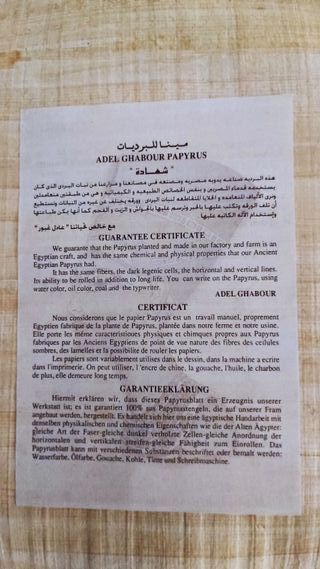 Papiro gigante comprado en el Cairo, 60 x 42 cm.