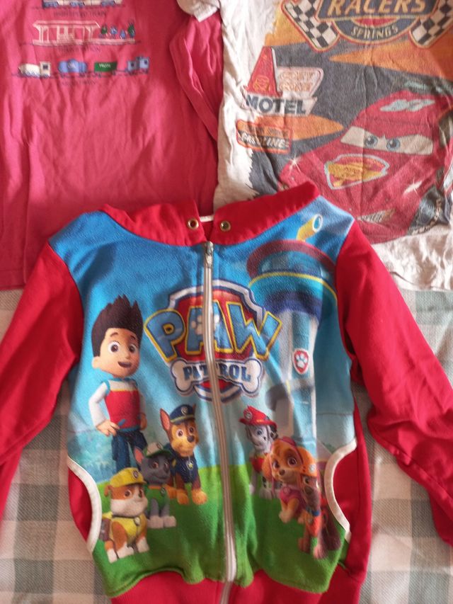 Lote dos camisetas niño