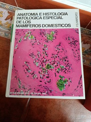 Anatomía e histología patológica