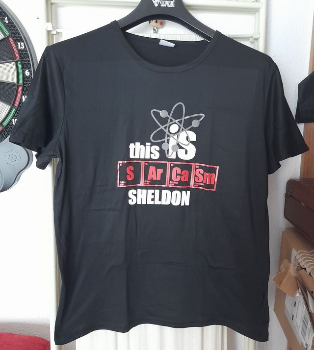 Camiseta	Big Bang Theory this is SArCaSm Sheldon	X