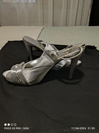 Zapatos plateados