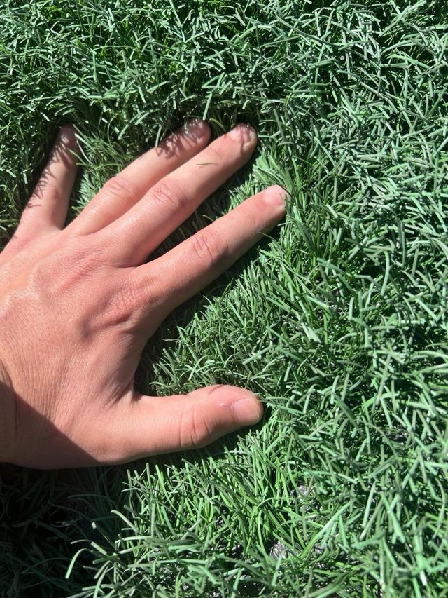 Cesped artificial en oferta