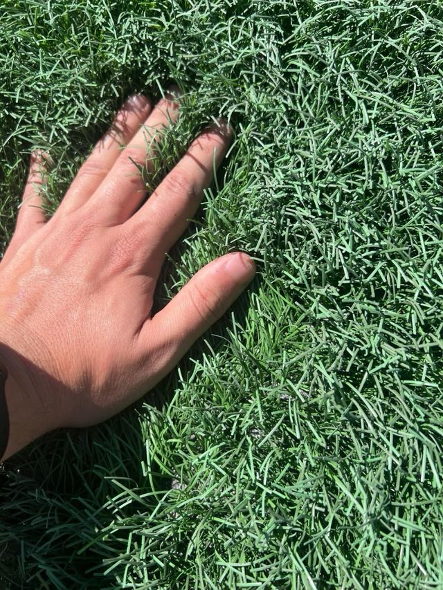 Cesped artificial en oferta