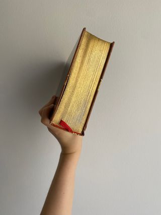 Geronimo Stilton Gran Regreso al reino fantasía