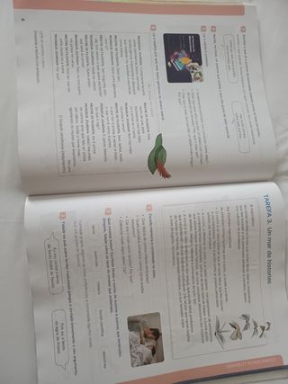 Libro 5 primaria Lingua + Santillana