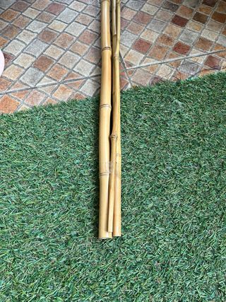 Caña de pescar