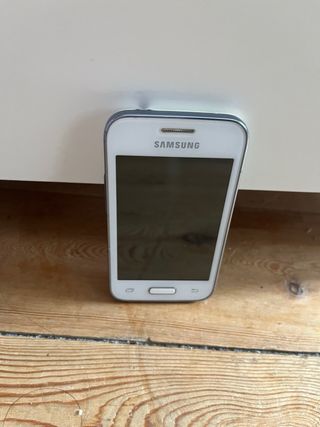 Samsung Galaxy Young 2