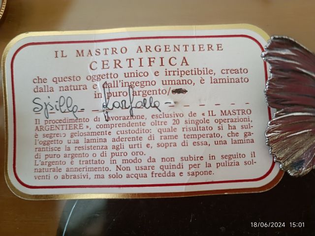 Spilla a farfalla in argento