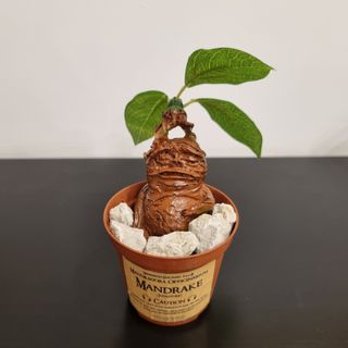 Action figure Harry Potter Mandragola Mandrake