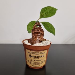 Action figure Harry Potter Mandragola Mandrake