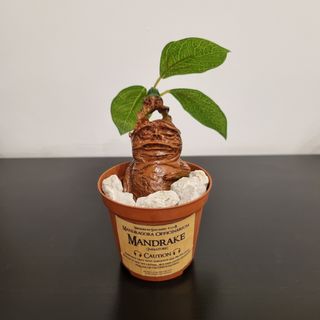 Action figure Harry Potter Mandragola Mandrake