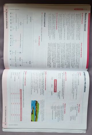 Geografia e Historia 1.1