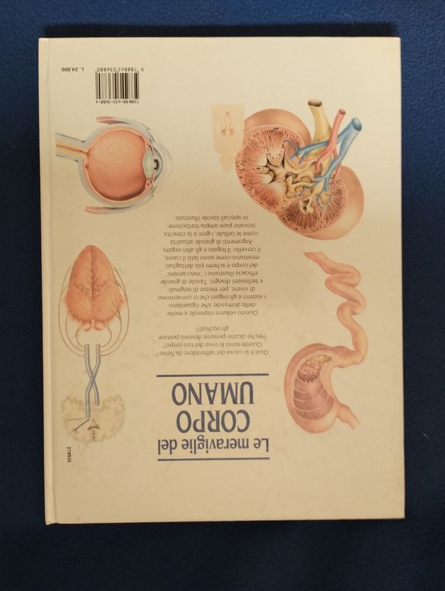 Le Meraviglie del Corpo Umano 