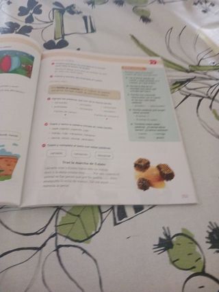 Libro matemáticas y Lengua 3 de primaria.