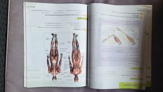 Natural Science 6 Primary