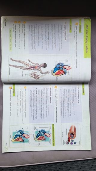 Natural Science 6 Primary