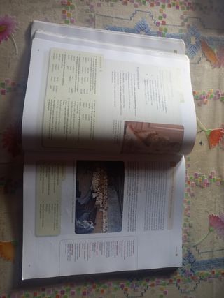 Libro latín  bachillerato