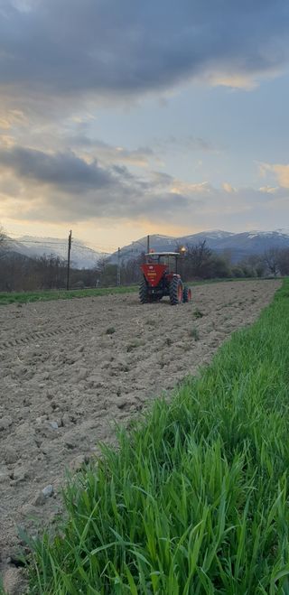 Treballs agricolas a patita escala!!