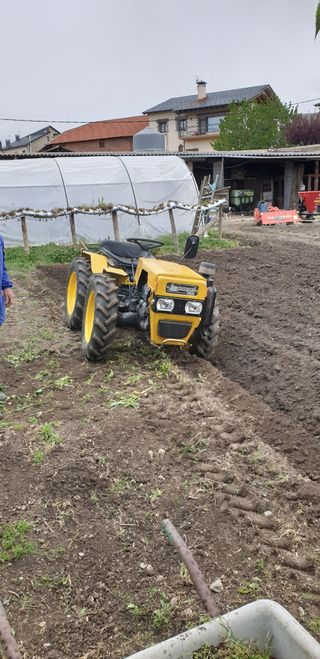 Treballs agricolas a patita escala!!