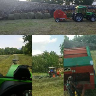 Treballs agricolas a patita escala!!