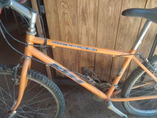 Bicicleta adulto 