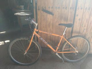 Bicicleta adulto 