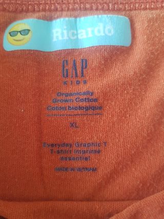 2 camisetas niño GAP