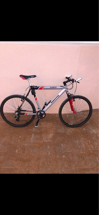 bicicleta de adulto