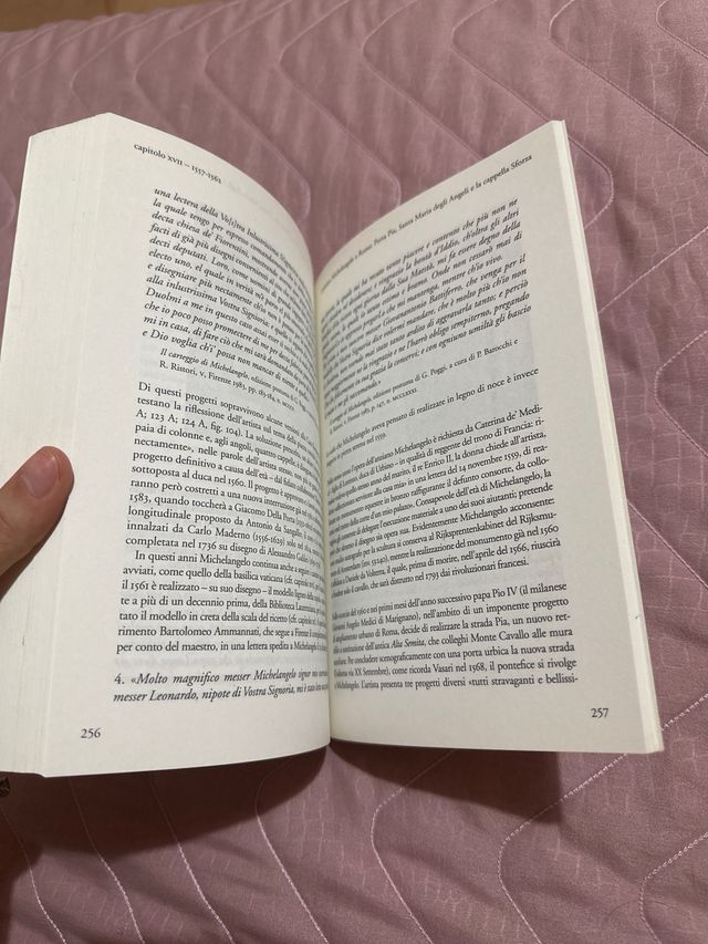 Testo “Michelangelo: una vita”