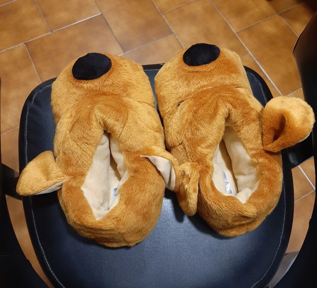 Zapatillas perro