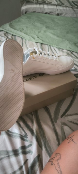 Bambas Lacoste