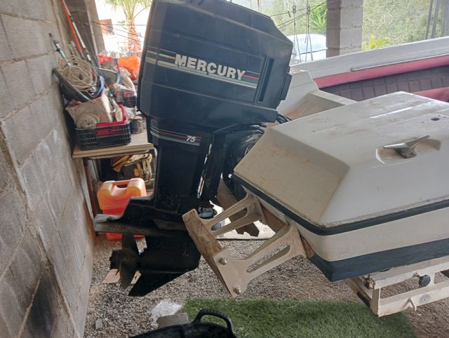 Lancha Glastron la raya 