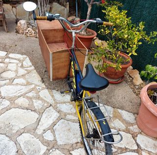 Bicicleta con carrito delantero,tipo tandem