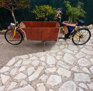 Bicicleta con carrito delantero,tipo tandem