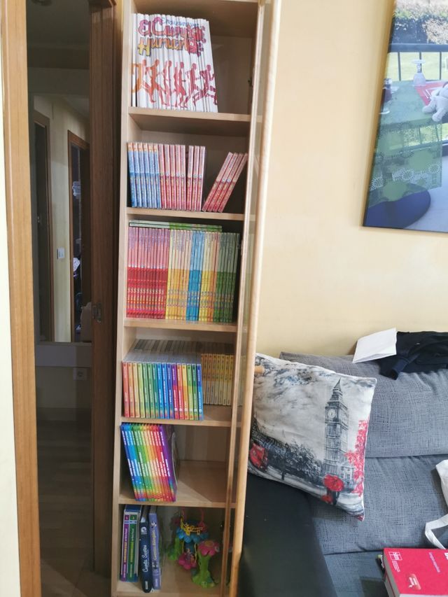 PACK ARMARIO con ENCICLOPEDIAS INFANTIL 