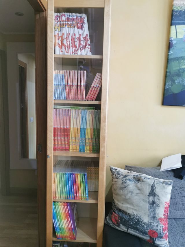 PACK ARMARIO con ENCICLOPEDIAS INFANTIL 