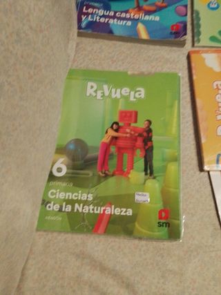 Libros 6 primaria 