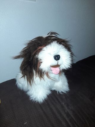 Peluche perro juego bebé