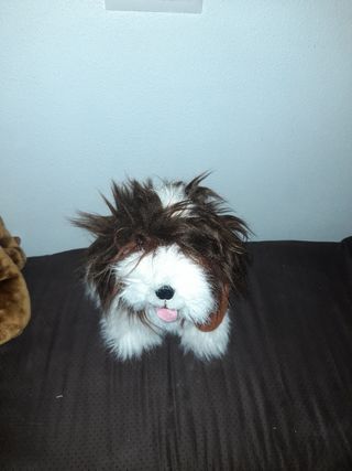 Peluche perro juego bebé