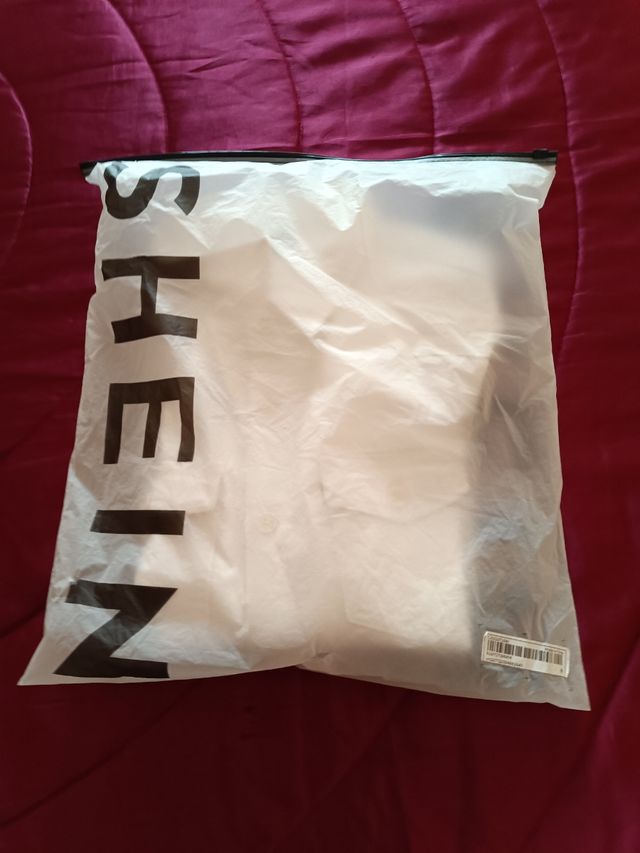 Camisa lisa de color blanco