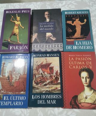 Lote de 6 libros de novela historica