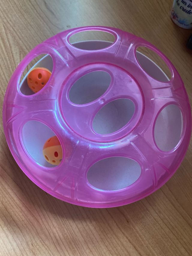 Giocattolo per gattini