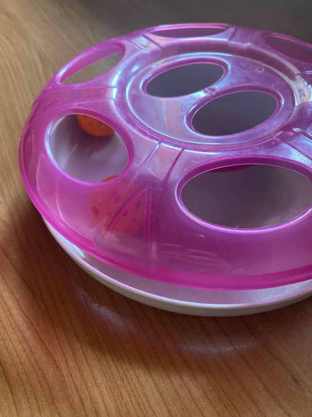 Giocattolo per gattini