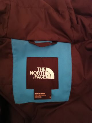Chaqueta the north face mount