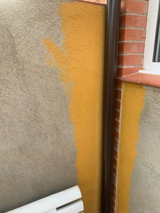 Pintura Procolor Protex mostaza