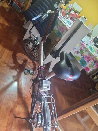 Bicicleta plegable eléctrica 