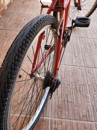 Bicicleta 